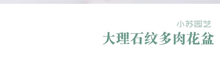 3c4f637f-032f-4659-aaf0-4c78e3919dee.jpe