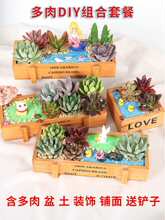 ����DIY΢���^��F����ֲ��M�������ײͲ��ϰ��������Gֲ�[��