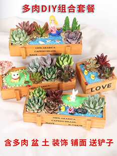 ����DIY΢���^��F����ֲ��M�������ײͲ��ϰ��������Gֲ�[��