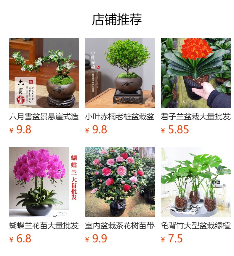 详情图