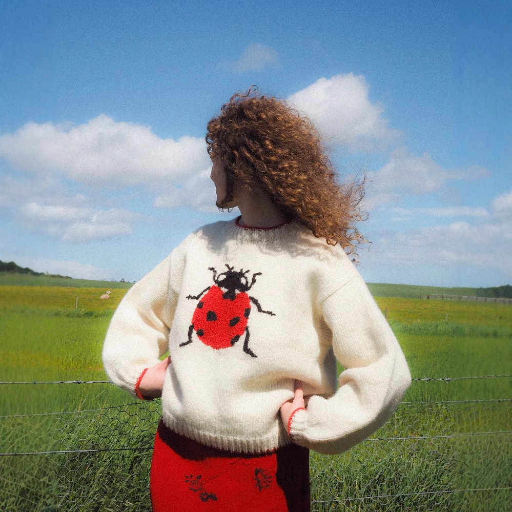 European and American Cross-Border Sweaters, Small Insect Jacquard Pattern Round Neck Long-Sleeved High Street Loose Sweaters Cute Style