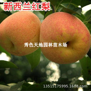 ������޽������m�t�����������ȫ�tơ���ͥԺ����ԷNֲ����