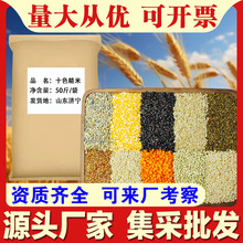 十色糙米50斤/袋十种混合多谷物糙米饭主食商用杂粮饭团厂家批发c
