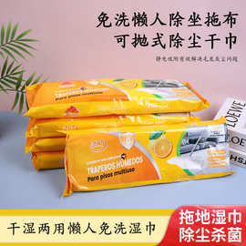 智力出口平板拖把干湿两用懒人免洗拖地用湿巾替换装静电除尘工厂
