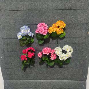 �������Ļ� ���滨���������b����⻨�仨�ۻ����廨�řڻ�ˇ