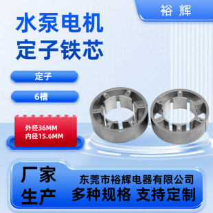 36*15.6MM6P直銷電機鐵芯定子轉子水泵電動機配件