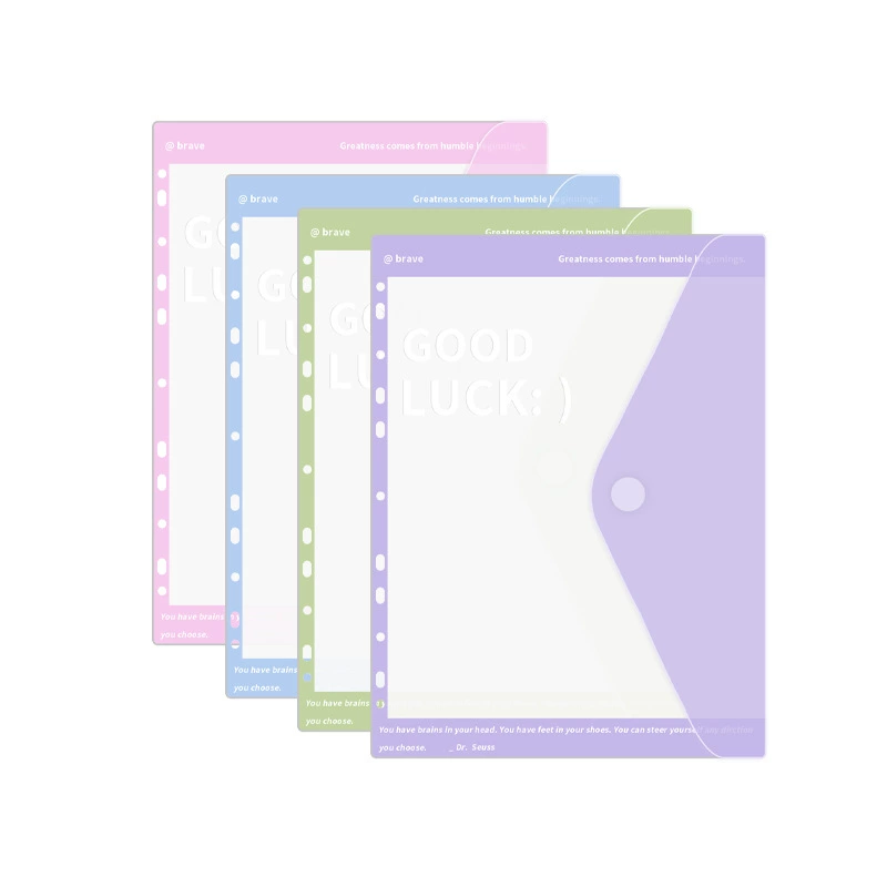 Folder for folders with velcro, storage bag, storage system for documents, handheld handle, tear-off sheet, gradient