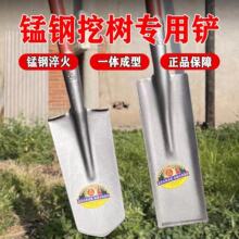 锰钢山药锹加厚铲子窄尖窄方农用全钢工具挖土钢铲铁铲树根锹宏业