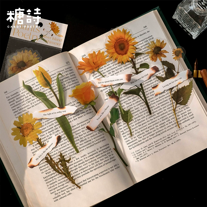 Упаковка наклеек Sugar Poetry Plants and Poems Series Retro Flower Handbook DIY Material Decorative Stickers 12 штук 8 стилей