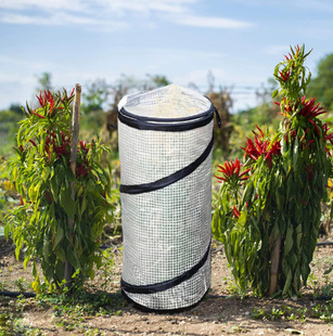 �羳�¿���ͻ��@��ֲ��������Ԝ��҈A�λ�����Ƅӎ������ˮ