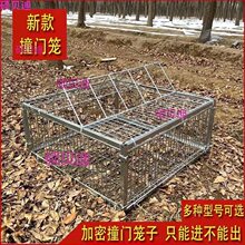 ��������\���ӻ\ײ�T��j�T���\�F�\ֻ�M�������\����Ԅ��T�l