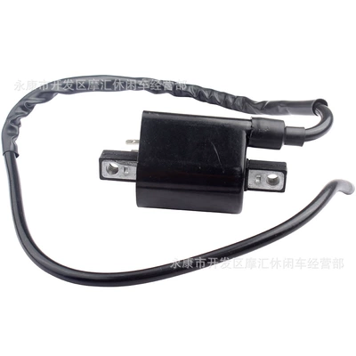 Package Ignition Coil, Alovlanma bobini (Babinalar)
