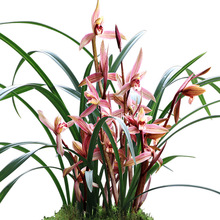 mݴNֲ҃ԾFm绨Gֲ@ˇm