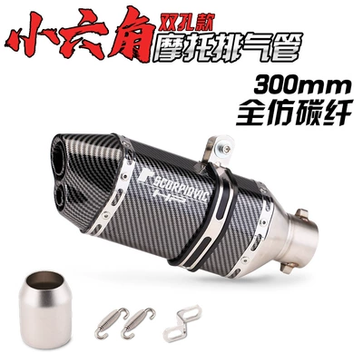 version NINJA400 exhaust modification — Exhaust pipe - 300-double-holes-all-imitation-carbon-fiber
