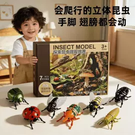 积木类;惯性回力玩具;棋牌/桌游