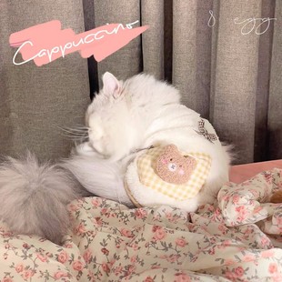 8 EGG/cappuccino ~ South Korea ins pet cat cat clothes dog fleece-lined vest autumn and winter puppet cat