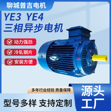 高效率三相异步电动机  YE2 YE3 YE4系列纯铜电机200-355基座4极
