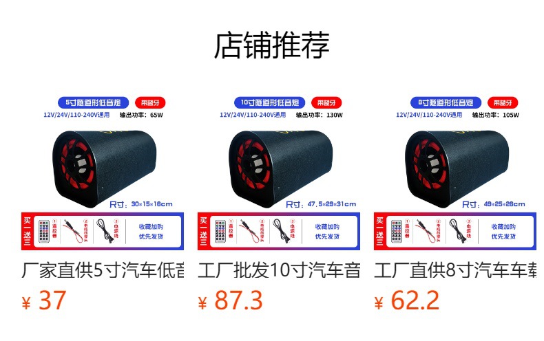 TDR wireless Bluetooth 220V Home speaker Super Bass Car Subwoofer 12V car 24v tunnel audio