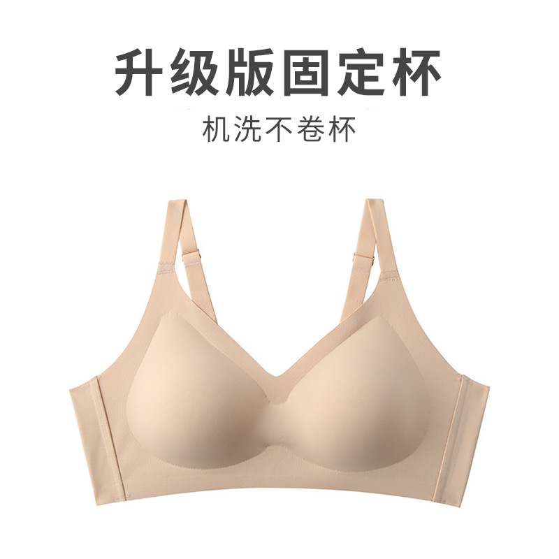 회춘 컬러 + 업그레이드 고정 컵