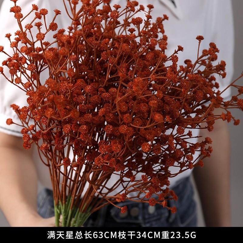 4 포크 Gipsophila