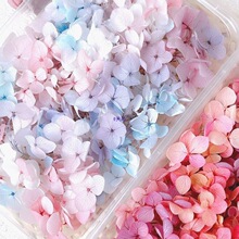 ����Ę�ϊy���N�������y�ɻ��NĘ�Ʒ����y������Ӱ�ǌ�����Ů�y