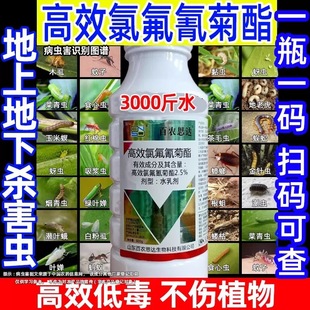 ��Ч������������x��ˮ�鄩�߲˹������x���º��x�rș���x����ȫ