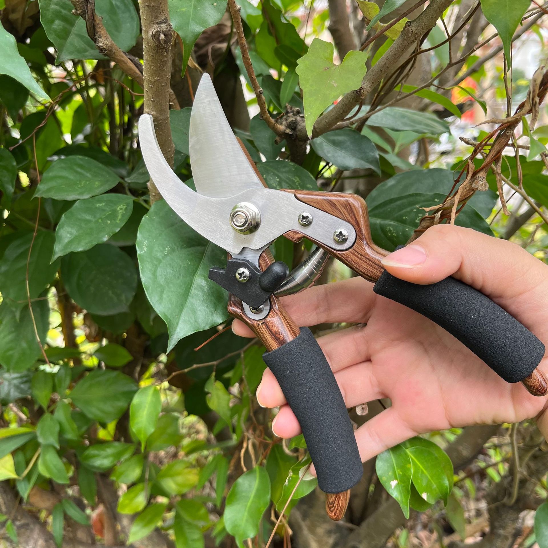 强力不锈钢修枝剪多功能园艺剪刀果园树枝修剪摘果剪子园林工具