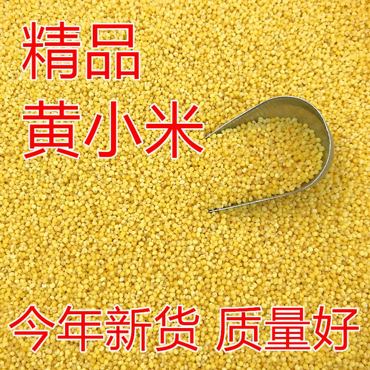 Высококачественное желтое просо, корм для мелких и средних попугаев, корм для птиц, новое просо из тигровой кожи, пион Xuanfeng, крупное зерно, просо