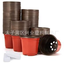 �S��ֱ�N�pɫ�����ϻ���������������Nֲ�������̖�߲�������
