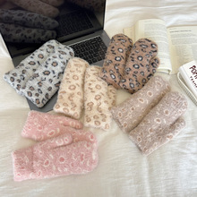 �羳���ڶ��_˹���y�Bָ����Ůʿ���������p�Ӽӽq�Ӻ�����q����