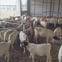 ���ݔ�͎��׼ӌ��Ӹ߼Ӵ��p��������ϲ۸ɝ������ʳ�������