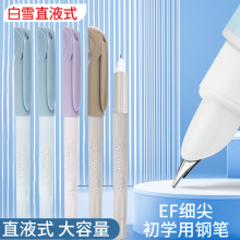 白雪FP802练字学生专用钢笔男女孩小学生用可擦正姿钢笔免换墨囊