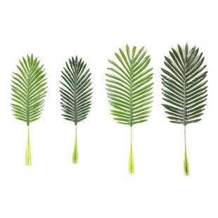 �羳������~����Ҭ���~����ɢβ���~����Gֲ�zӰ�����b�