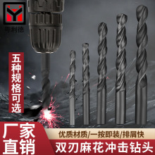 M5.6.8.9.10高速钢直柄麻花钻头哈尔滨电钻台钻白钢钻咀钻头打
