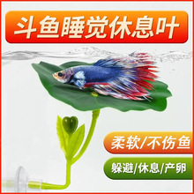 斗鱼栖休息躲避叶产卵荷叶子仿真水草树叶睡觉床鱼缸造景装饰摆RP
