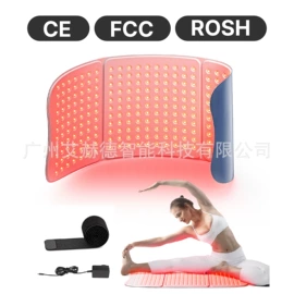 电子美容仪;其他美妆工具;美容导入仪