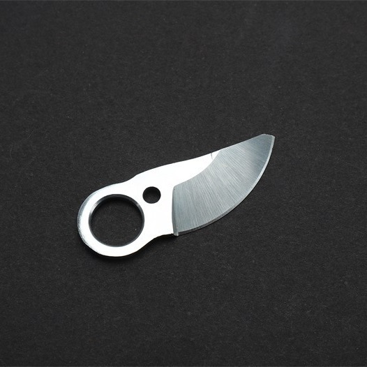 2024-03-26 13:07:35.jpg