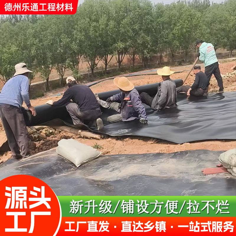 防水防渗膜防潮养护隔离hdpe高密度聚乙烯膜双防土工膜