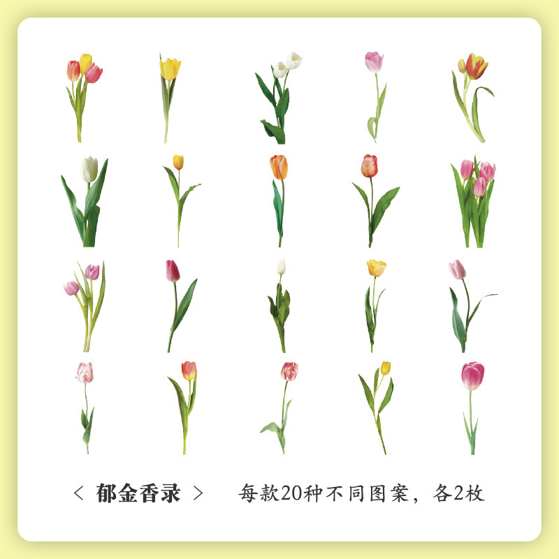 Museo Natural serie mano cuenta pegatinas bolsa vintage planta flor pegatinas mascota impermeable Flor Mariposa pegatinas