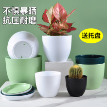 新款加厚蛋形塑料花盆北欧简约家用大号磨砂绿植落地树脂花盆批发