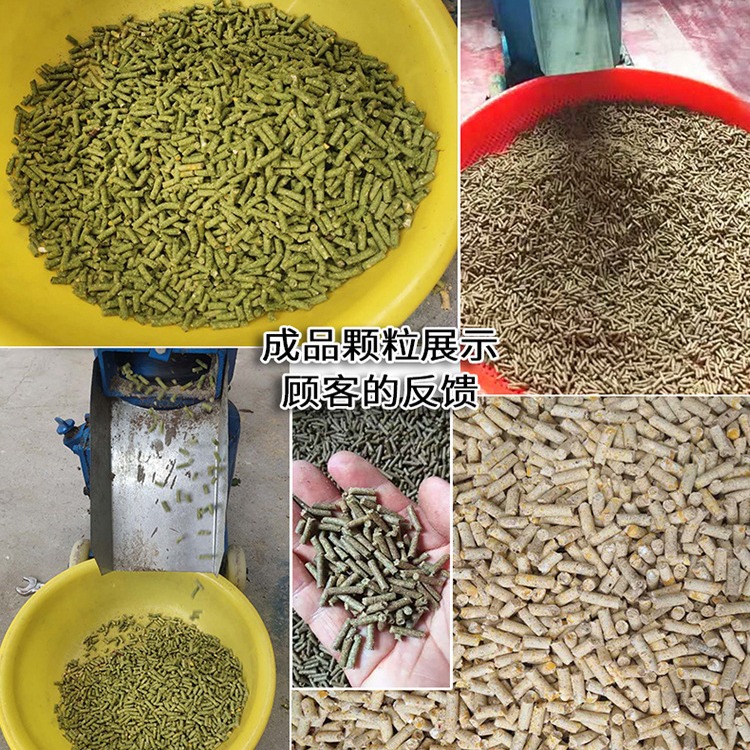 Máquina de pellets de alimentación multifuncional pequeña máquina de pellets de cría de pollos, patos y gansos de doble uso en seco y húmedo
