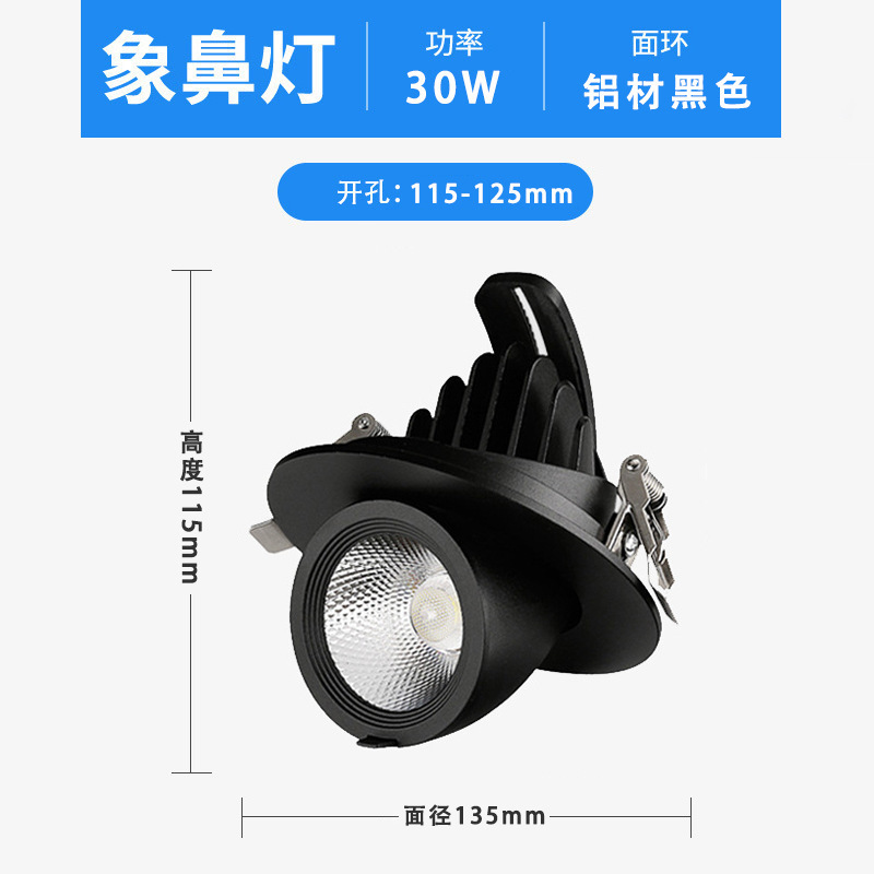 フィリップスのリビングルームの家庭用の防眩しさのコブの象鼻のスポットライトの95顕の大きい電力の30wの服の店の専用の象鼻の明かり|undefined
