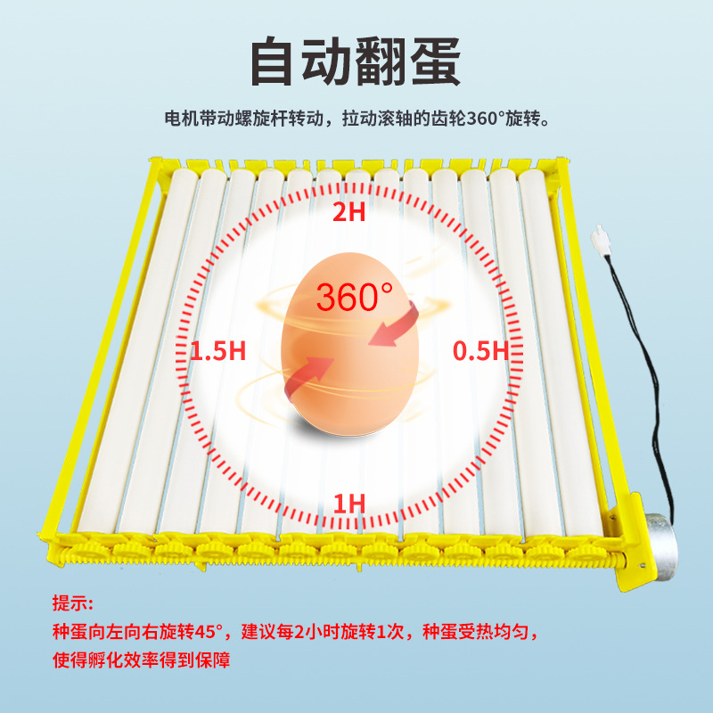 Pequeña Placa de huevo de incubadora automática 156 piezas tipo de rodillo Placa de huevo de pájaro 360 grados de giro automático de huevos suministro transfronterizo