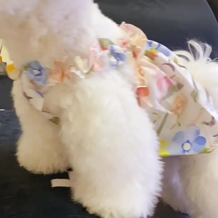 Ropa de verano para mascotas, ropa delgada para gatos, cinturones, falda de flores, chaleco para perros pequeños de verano, felinos de peluche