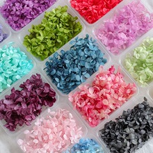 绣球永生花干花diy手工婚鞋贴脸花艺课活动相框暴力熊花瓣材料包