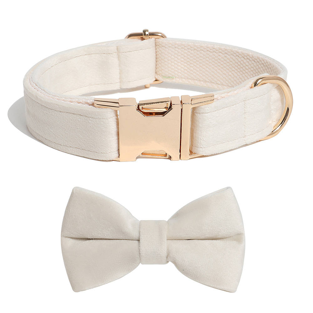 개 반지 + 나비 넥타이