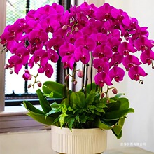 ᾳغ����m���Ԏ����������������ﶬ�͏d�m�������҃�ֲ���ļ���