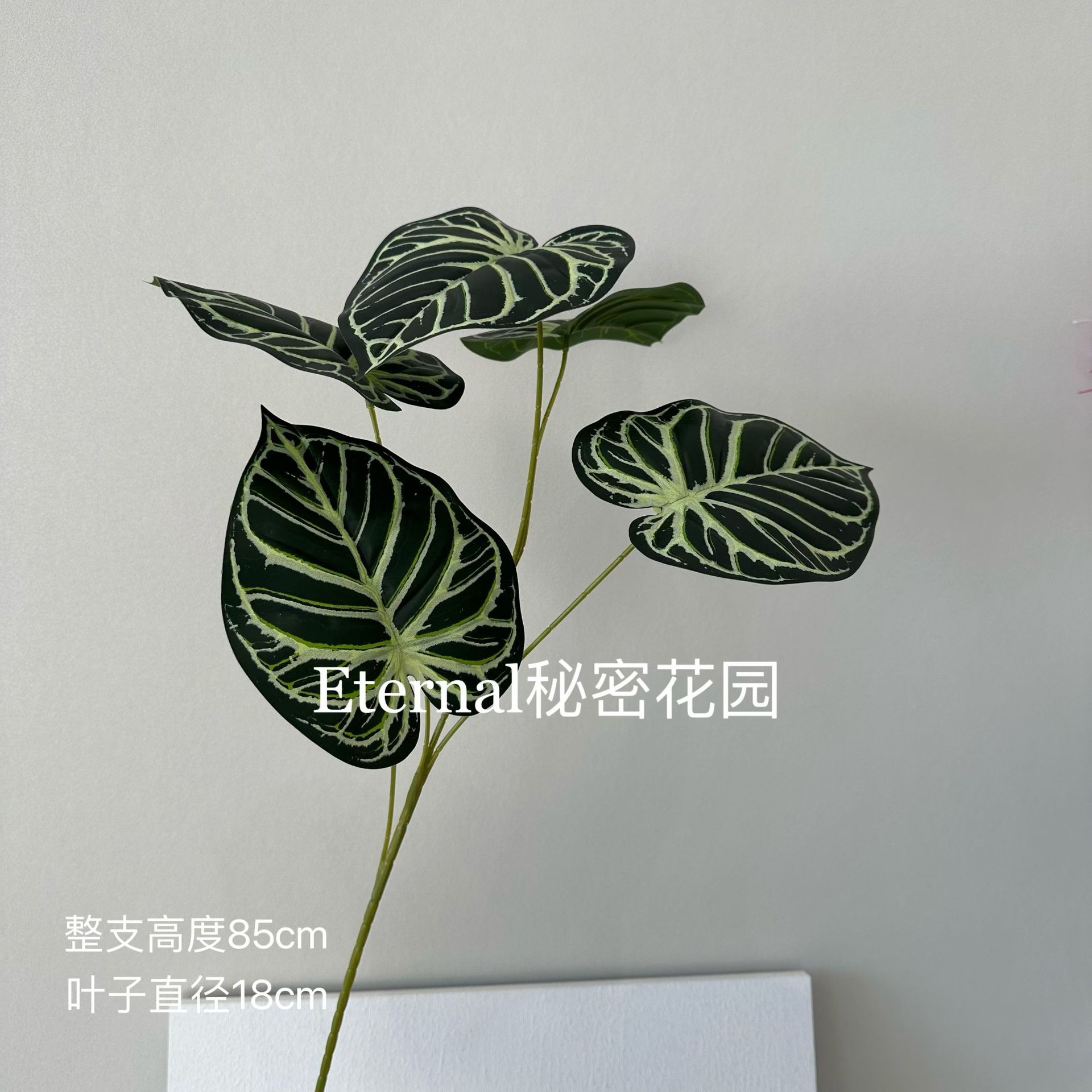 큰 Caiyu 잎 짙은 녹색