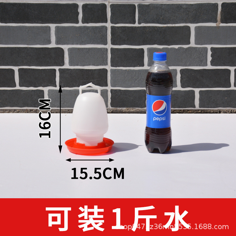 agua potable de pollo, cubo de agua de pollo, alimentador automático de agua de pollo, alimentador de agua de pollo, bebedor de agua de pollo, cría de pollo