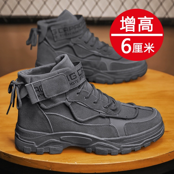 Gray (increased money